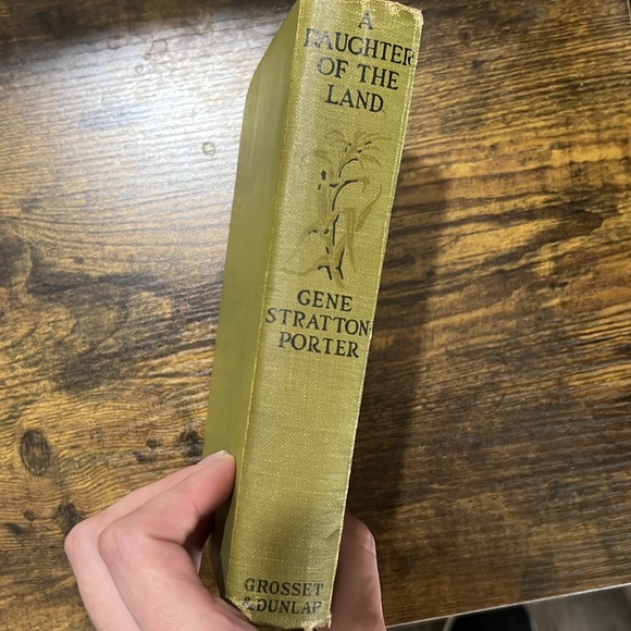 ANTIQUE BOOK A Daughter of the Land by Gene Stratton-Porter - Picture 3 of 3